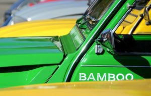 2cv bambou bamboo citroen verte